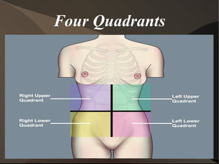 Four Quadrants 