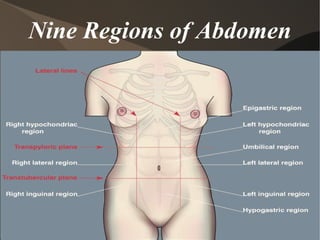Nine Regions of Abdomen 