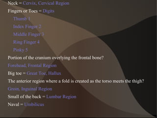 Neck =  Cervix, Cervical Region Fingers or Toes =  Digits Thumb 1 Index Finger 2 Middle Finger 3 Ring Finger 4 Pinky 5 Portion of the cranium overlying the frontal bone? Forehead, Frontal Region Big toe =  Great Toe, Hallux The anterior region where a fold is created as the torso meets the thigh? Groin, Inguinal Region Small of the back =  Lumbar Region Naval =  Umbilicus 
