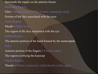 Surrounds the nipple on the anterior thorax Mammary Region Chin =  Mental Region (Chin is more commonly used) Portion of the face associated with the nose Nasal Region Mouth =  Oral Cavity The region of the face associated with the eye Orbital Region The anterior portion of the hand formed by the metacarpals Palm Anterior portion of the fingers =  Palmar Aspect The region overlying the kneecap Patellar Region Thumb =  Pollex (commonly called thumb or first digit) 