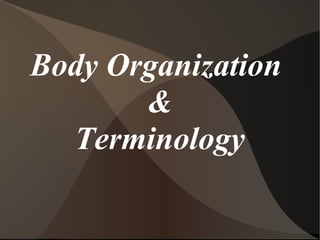 Body Organization
       &
  Terminology
 