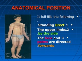 ANATOMICAL POSITIONANATOMICAL POSITION
It full fills the followingIt full fills the following
::
11..StandingStanding ErectErect..
22..The upper limbsThe upper limbs
by the sideby the side..
33..TheThe faceface andand
palmspalms are directedare directed
forwardsforwards..
 