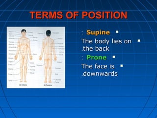 TERMS OF POSITIONTERMS OF POSITION
SupineSupine::
The body lies onThe body lies on
the backthe back..
ProneProne::
The face isThe face is
downwardsdownwards..
 