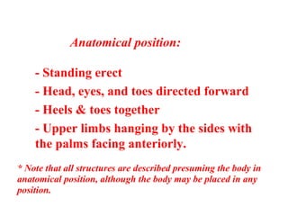 Anatomical position:
- Standing erect
- Head, eyes, and toes directed forward
- Heels & toes together
- Upper limbs hanging by the sides with
the palms facing anteriorly.
* Note that all structures are described presuming the body in
anatomical position, although the body may be placed in any
position.
 