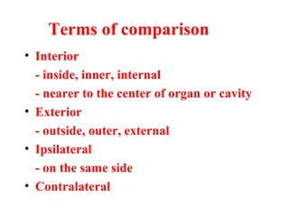 • Interior
- inside, inner, internal
- nearer to the center of organ or cavity
• Exterior
- outside, outer, external
• Ipsilateral
- on the same side
• Contralateral
Terms of comparison
 