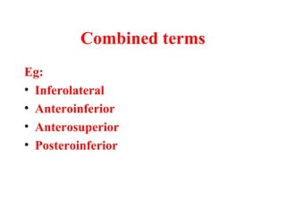Combined terms
Eg:
• Inferolateral
• Anteroinferior
• Anterosuperior
• Posteroinferior
 