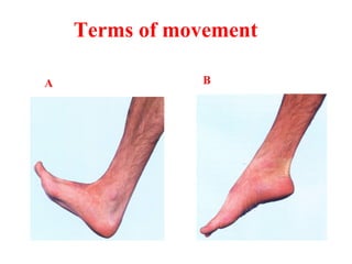 A B
Terms of movement
 