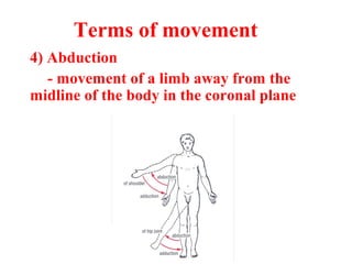 Terms of movement
4) Abduction
- movement of a limb away from the
midline of the body in the coronal plane
 