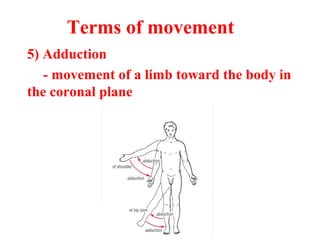 5) Adduction
- movement of a limb toward the body in
the coronal plane
Terms of movement
 