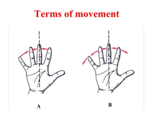 Terms of movement
A B
 