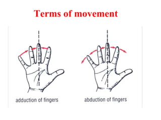 Terms of movement
 