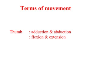 Terms of movement
Thumb : adduction & abduction
: flexion & extension
 