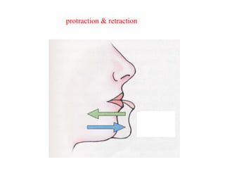 protraction & retraction
 