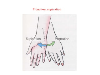 Pronation, supination
 