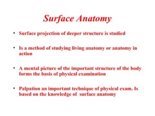 Surface Anatomy
• Surface projection of deeper structure is studied
• Is a method of studying living anatomy or anatomy in
action
• A mental picture of the important structure of the body
forms the basis of physical examination
• Palpation an important technique of physical exam. Is
based on the knowledge of surface anatomy
 