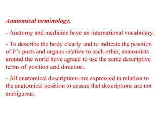 Anatomical terminology;
- Anatomy and medicine have an international vocabulary.
- To describe the body clearly and to indicate the position
of it’s parts and organs relative to each other, anatomists
around the world have agreed to use the same descriptive
terms of position and direction.
- All anatomical descriptions are expressed in relation to
the anatomical position to ensure that descriptions are not
ambiguous.
 