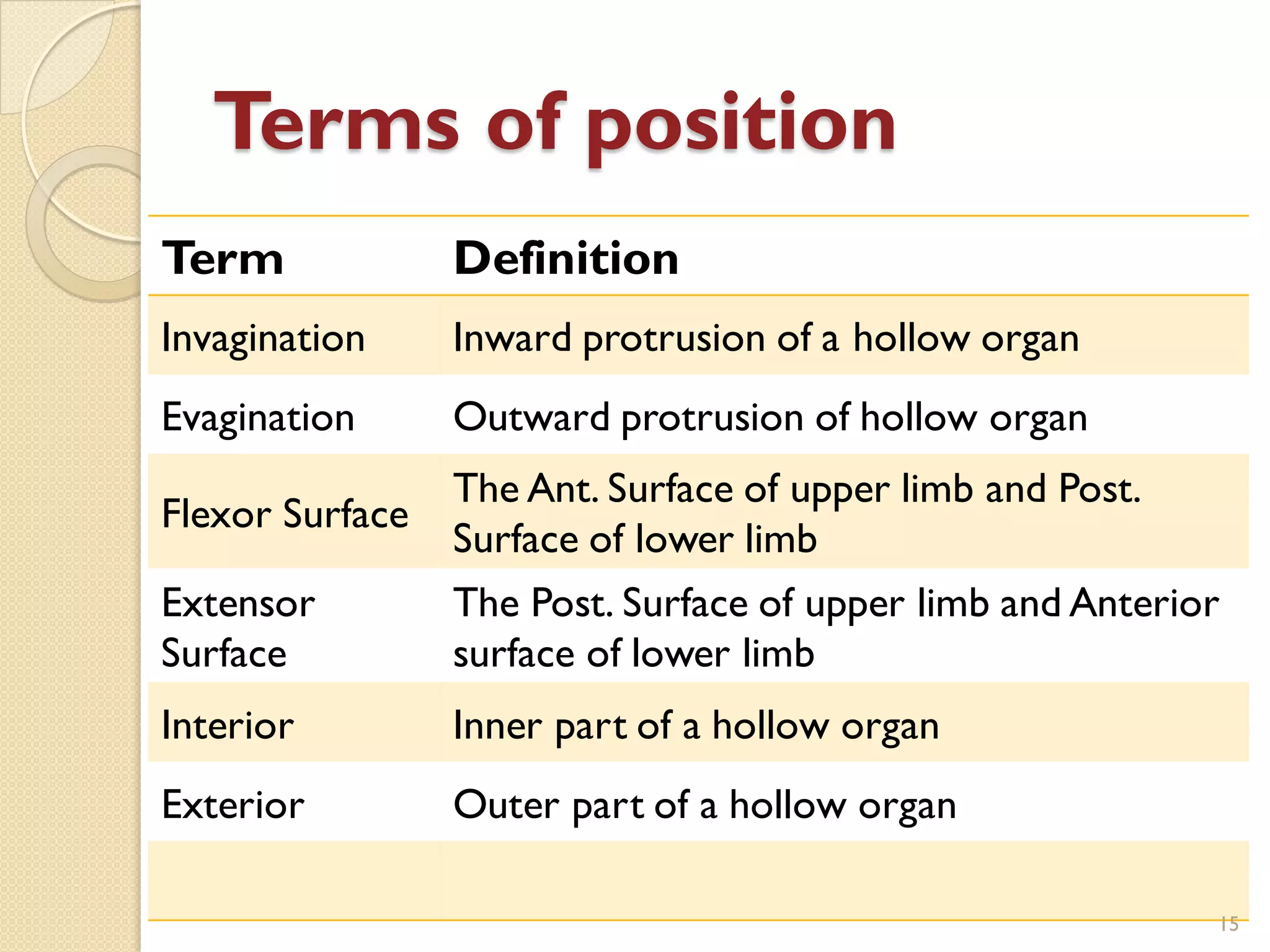 Anatomical terminology | PDF