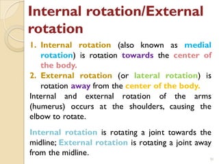 Anatomical terminology | PDF