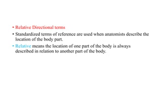 • Relative Directional terms
• Standardized terms of reference are used when anatomists describe the
location of the body part.
• Relative means the location of one part of the body is always
described in relation to another part of the body.
 