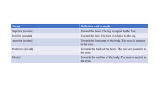 Terms Definition and example
Superior (cranial) Toward the head. The leg is supper to the foot.
Inferior (caudal) Toward the feet. The foot is inferior to the leg.
Anterior (ventral) Toward the front part of the body. The nose is anterior
to the ears.
Posterior (dorsal) Towards the back of the body. The ears are posterior to
the nose.
Medial Towards the midline of the body. The nose is medial to
the eyes.
 