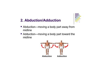 ANATOMICAL TERMINOLOGY.pptx