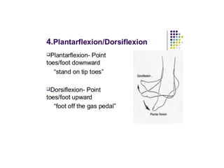 ANATOMICAL TERMINOLOGY.pptx
