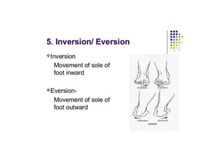 ANATOMICAL TERMINOLOGY.pptx