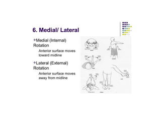 ANATOMICAL TERMINOLOGY.pptx