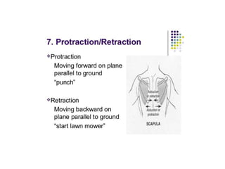 ANATOMICAL TERMINOLOGY.pptx