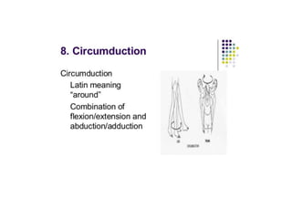 ANATOMICAL TERMINOLOGY.pptx