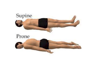 ANATOMICAL TERMINOLOGY.pptx