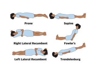 ANATOMICAL TERMINOLOGY.pptx