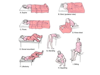 ANATOMICAL TERMINOLOGY.pptx