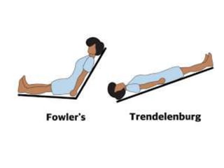 ANATOMICAL TERMINOLOGY.pptx