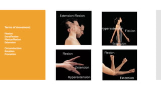Basic fundamental terminology in learning Anatomy Terminology ...