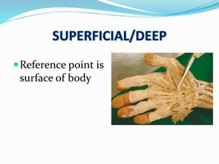 Reference point is
surface of body
 