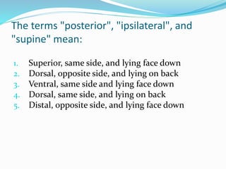 The terms "posterior", "ipsilateral", and
"supine" mean:
1. Superior, same side, and lying face down
2. Dorsal, opposite side, and lying on back
3. Ventral, same side and lying face down
4. Dorsal, same side, and lying on back
5. Distal, opposite side, and lying face down
 