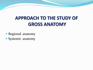 APPROACH TO THE STUDY OF
GROSS ANATOMY
 Regional anatomy
 Systemic anatomy
 