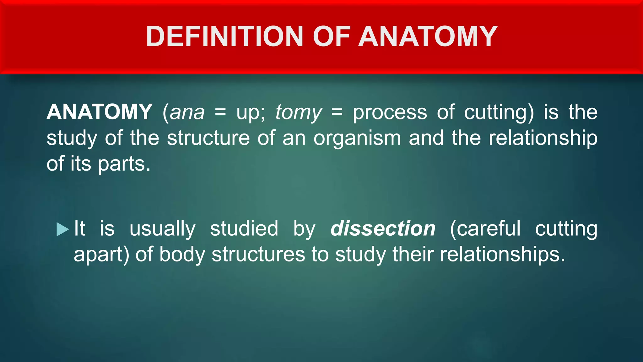 Anatomical terms, Directional Terms | PPTX