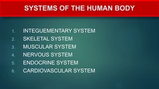 SYSTEMS OF THE HUMAN BODY
1. INTEGUEMENTARY SYSTEM
2. SKELETAL SYSTEM
3. MUSCULAR SYSTEM
4. NERVOUS SYSTEM
5. ENDOCRINE SYSTEM
6. CARDIOVASCULAR SYSTEM
 