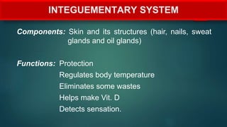 INTEGUEMENTARY SYSTEM
Components: Skin and its structures (hair, nails, sweat
glands and oil glands)
Functions: Protection
Regulates body temperature
Eliminates some wastes
Helps make Vit. D
Detects sensation.
 