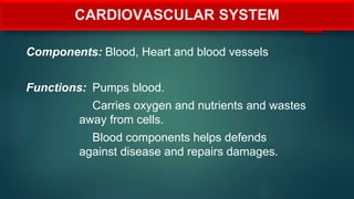 CARDIOVASCULAR SYSTEM
Components: Blood, Heart and blood vessels
Functions: Pumps blood.
Carries oxygen and nutrients and wastes
away from cells.
Blood components helps defends
against disease and repairs damages.
 