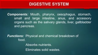 DIGESTIVE SYSTEM
Components: Mouth, pharynx, oesophagus, stomach,
small and large intestine, anus, and accessory
organs such as the salivary glands, liver, gallbladder
and pancreas.
Functions: Physical and chemical breakdown of
food.
Absorbs nutrients.
Eliminates solid wastes.
 
