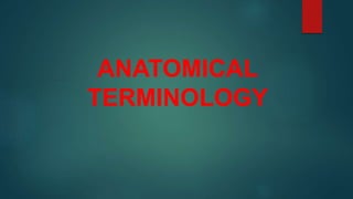ANATOMICAL
TERMINOLOGY
 