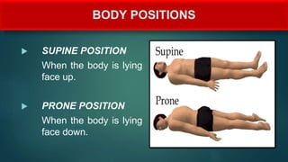 BODY POSITIONS
 SUPINE POSITION
When the body is lying
face up.
 PRONE POSITION
When the body is lying
face down.
 