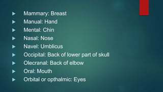  Mammary: Breast
 Manual: Hand
 Mental: Chin
 Nasal: Nose
 Navel: Umblicus
 Occipital: Back of lower part of skull
 Olecranal: Back of elbow
 Oral: Mouth
 Orbital or opthalmic: Eyes
 