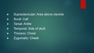  Supraclavicular: Area above clavicle
 Sural: Calf
 Tarsal: Ankle
 Temporal: Side of skull
 Thoracic: Chest
 Zygomatic: Cheek
 