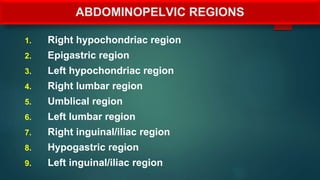 ABDOMINOPELVIC REGIONS
1. Right hypochondriac region
2. Epigastric region
3. Left hypochondriac region
4. Right lumbar region
5. Umblical region
6. Left lumbar region
7. Right inguinal/iliac region
8. Hypogastric region
9. Left inguinal/iliac region
 