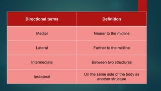 Directional terms Definition
Medial Nearer to the midline
Lateral Farther to the midline
Intermediate Between two structures
Ipsilateral
On the same side of the body as
another structure
 