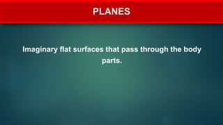 PLANES
Imaginary flat surfaces that pass through the body
parts.
 
